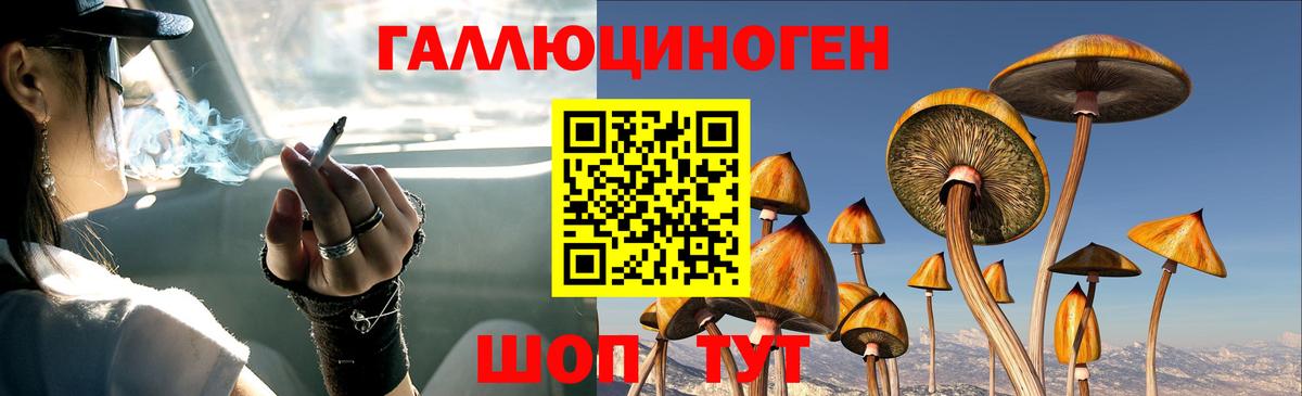 Псилоцибиновые грибы прущие грибы Мирный